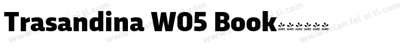 Trasandina W05 Book字体转换